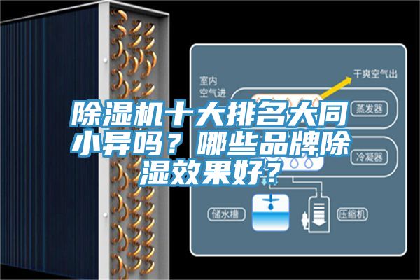 除濕機十大排名大同小異嗎？哪些品牌除濕效果好？