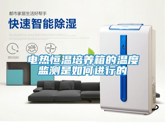電熱恒溫培養箱的溫度監測是如何進行的