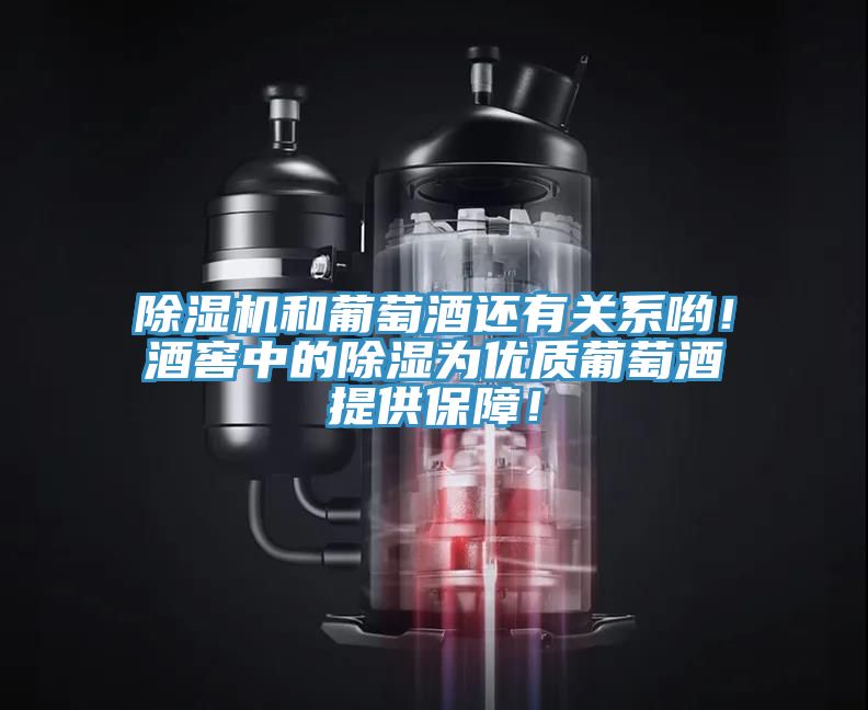 除濕機和葡萄酒還有關系喲！酒窖中的除濕為優質葡萄酒提供保障！