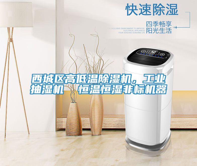 西城區高低溫除濕機，工業抽濕機  恒溫恒濕非標機器