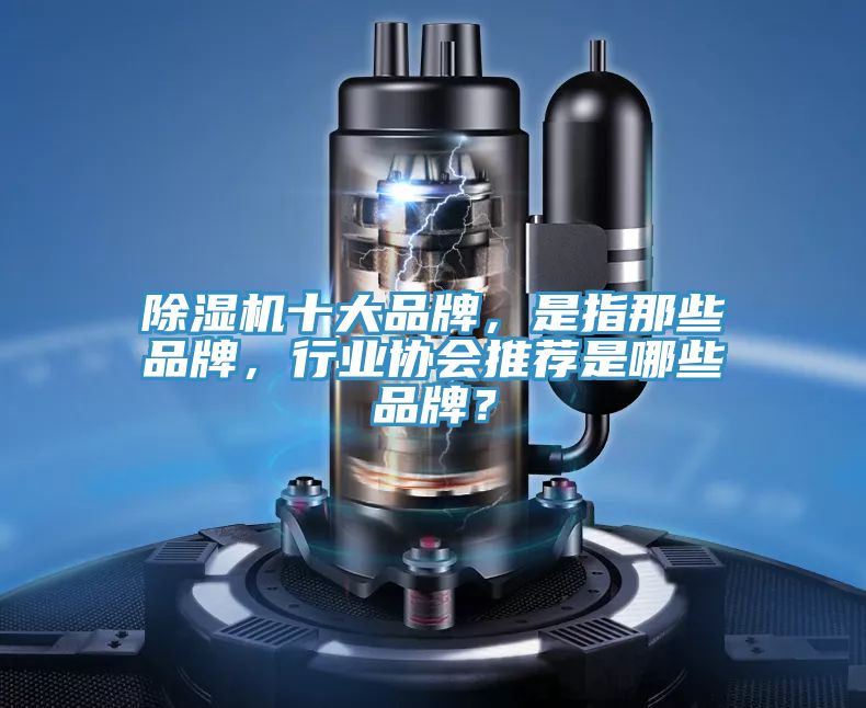 除濕機十大品牌，是指那些品牌，行業協會推薦是哪些品牌？
