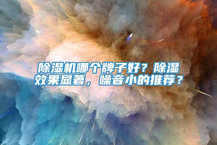 除濕機哪個牌子好？除濕效果顯著，噪音小的推薦？