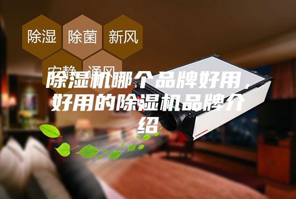除濕機哪個品牌好用，好用的除濕機品牌介紹