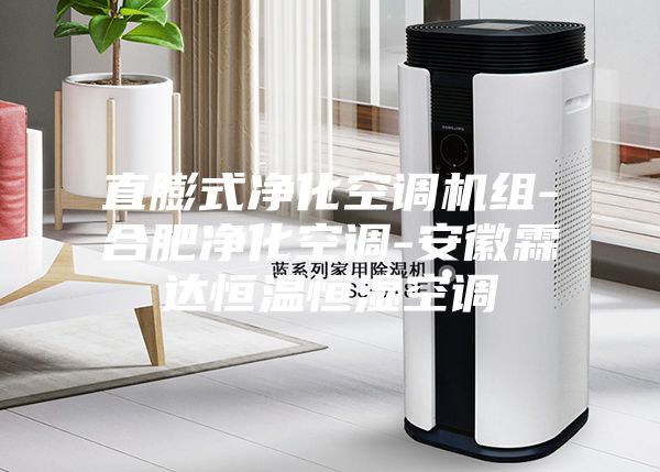 直膨式凈化空調機組-合肥凈化空調-安徽霖達恒溫恒濕空調