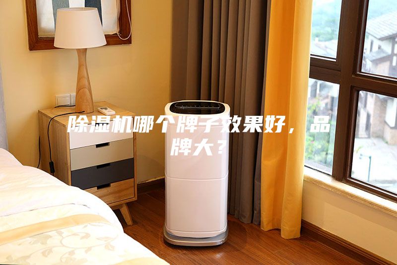 除濕機哪個牌子效果好，品牌大？