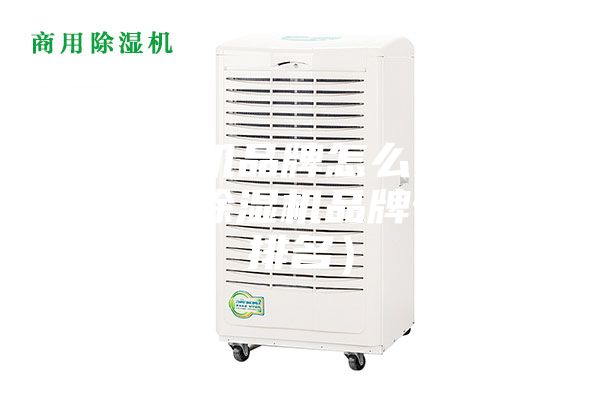 除濕機品牌怎么選（分享除濕機品牌十佳排名）