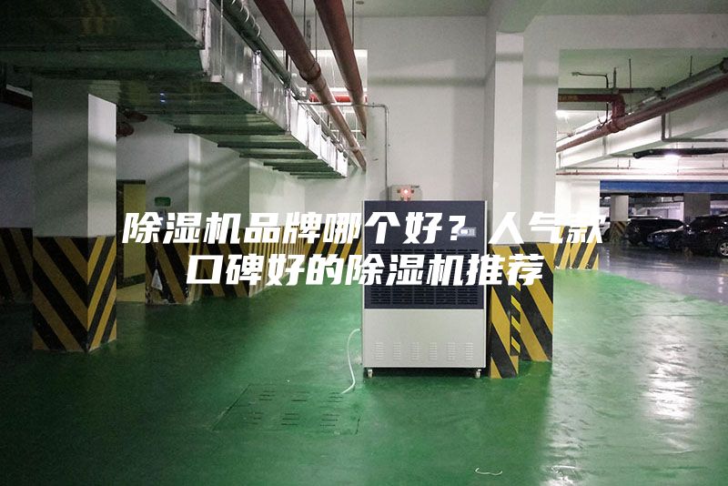 除濕機品牌哪個好？人氣款口碑好的除濕機推薦