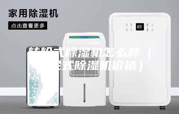 轉輪式除濕機怎么樣（轉輪式除濕機價格）