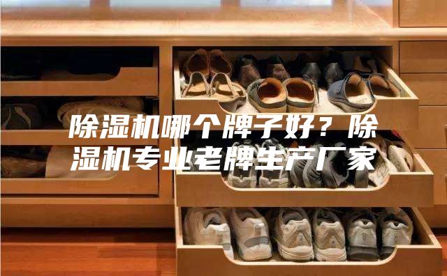 除濕機哪個牌子好？除濕機專業老牌生產廠家