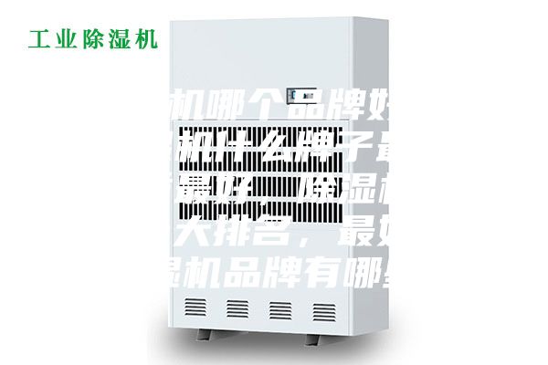 除濕機哪個品牌好用，除濕機什么牌子最好品質最好，除濕機品牌十大排名，最好的除濕機品牌有哪些？