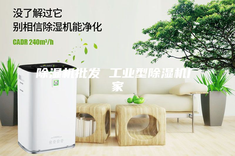除濕機批發 工業型除濕機廠家