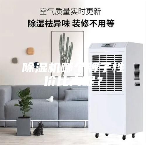 除濕機哪個牌子性價比高呢？
