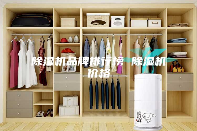 除濕機品牌排行榜 除濕機價格