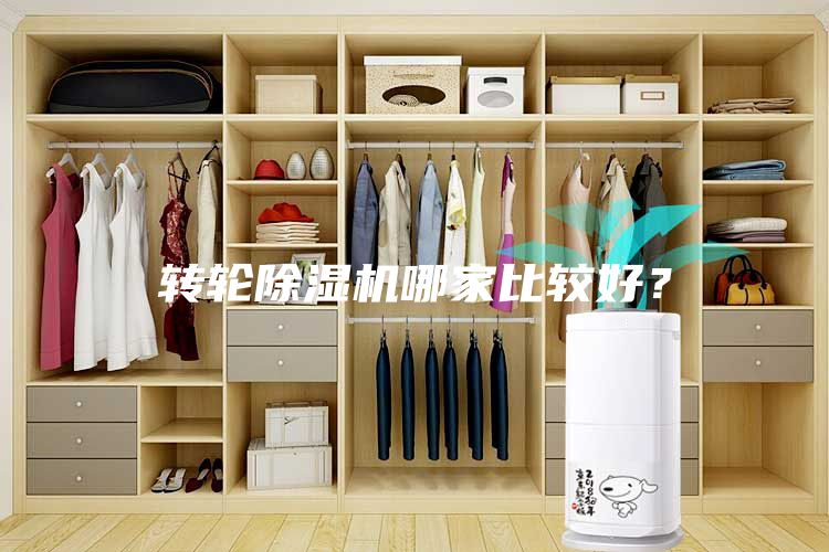 轉輪除濕機哪家比較好？
