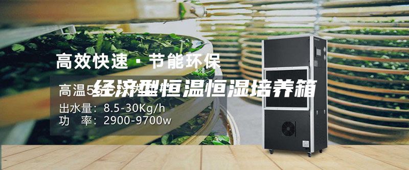 經濟型恒溫恒濕培養箱