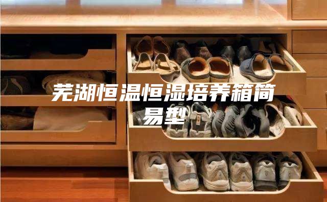 蕪湖恒溫恒濕培養箱簡易型