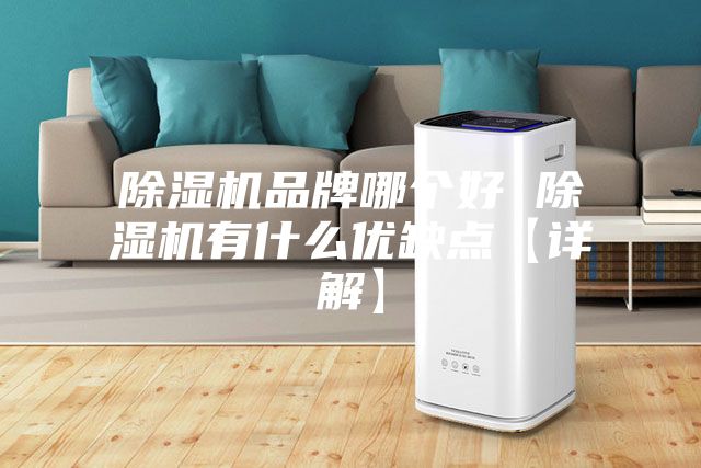 除濕機品牌哪個好 除濕機有什么優缺點【詳解】