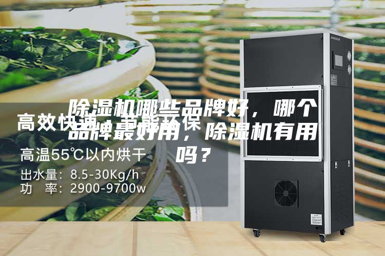 除濕機哪些品牌好，哪個品牌最好用，除濕機有用嗎？
