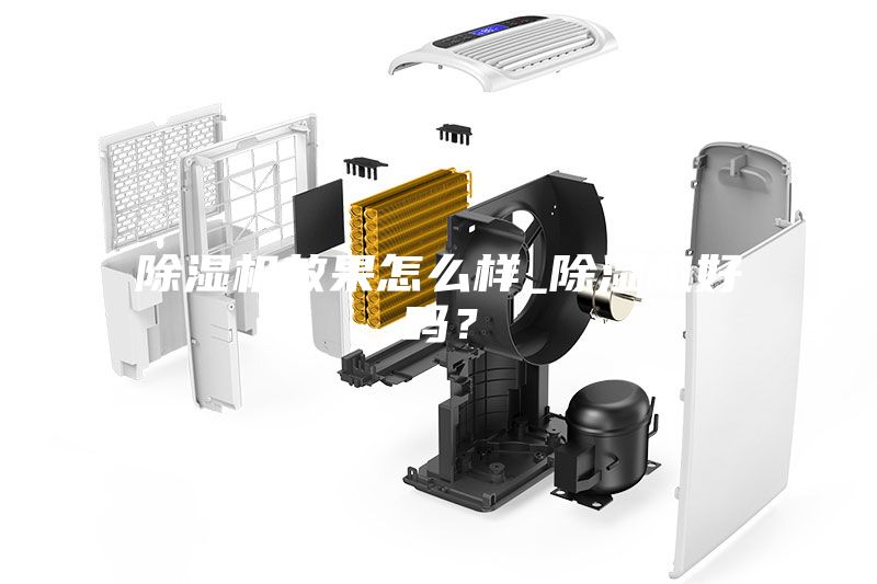 除濕機效果怎么樣_除濕機好嗎？