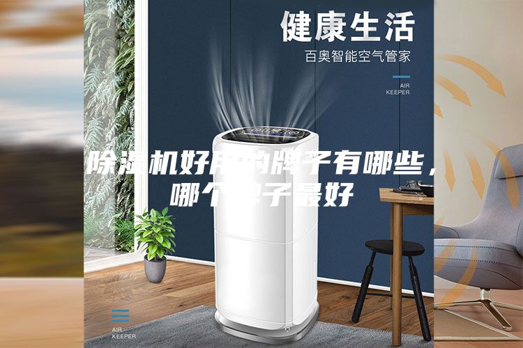 除濕機好用的牌子有哪些，哪個牌子最好