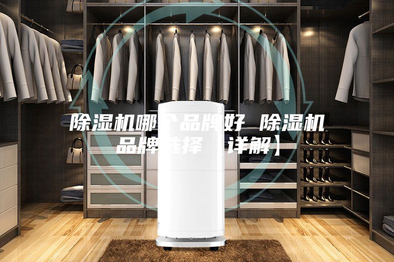 除濕機哪個品牌好 除濕機品牌選擇【詳解】