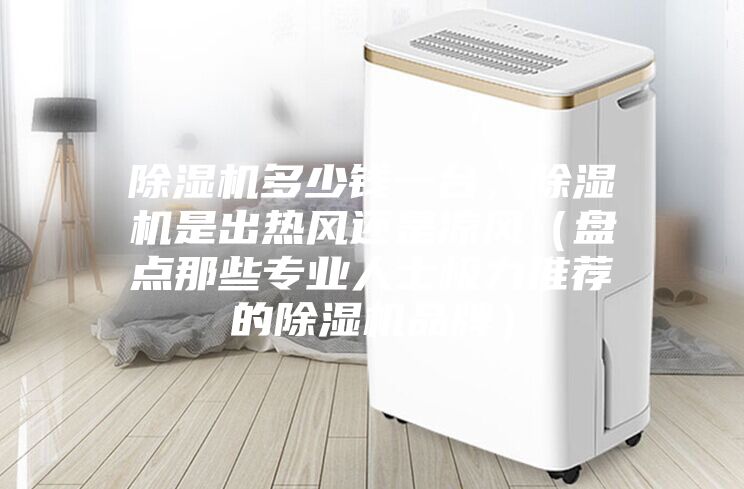 除濕機多少錢一臺，除濕機是出熱風還是涼風（盤點那些專業人士極力推薦的除濕機品牌）