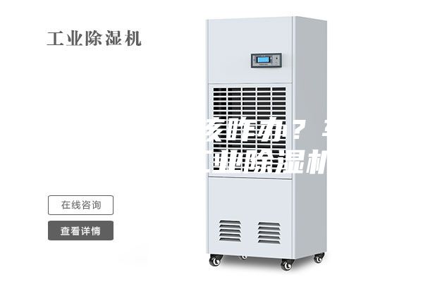 車間潮濕該咋辦？車間除潮工業除濕機