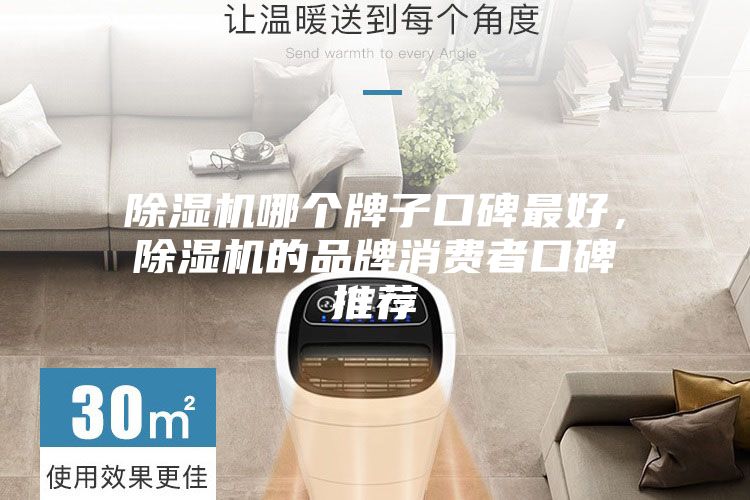 除濕機哪個牌子口碑最好，除濕機的品牌消費者口碑推薦
