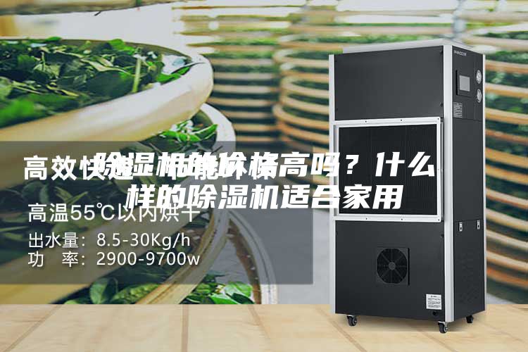 除濕機的價格高嗎？什么樣的除濕機適合家用
