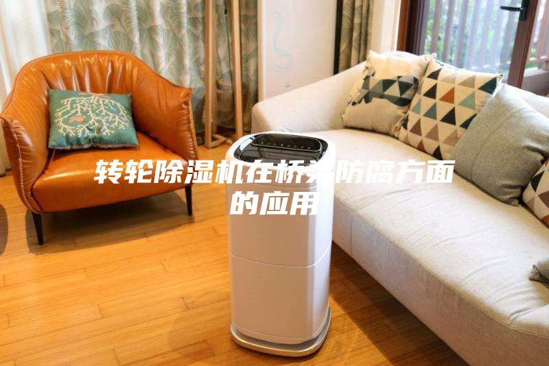 轉輪除濕機在橋梁防腐方面的應用