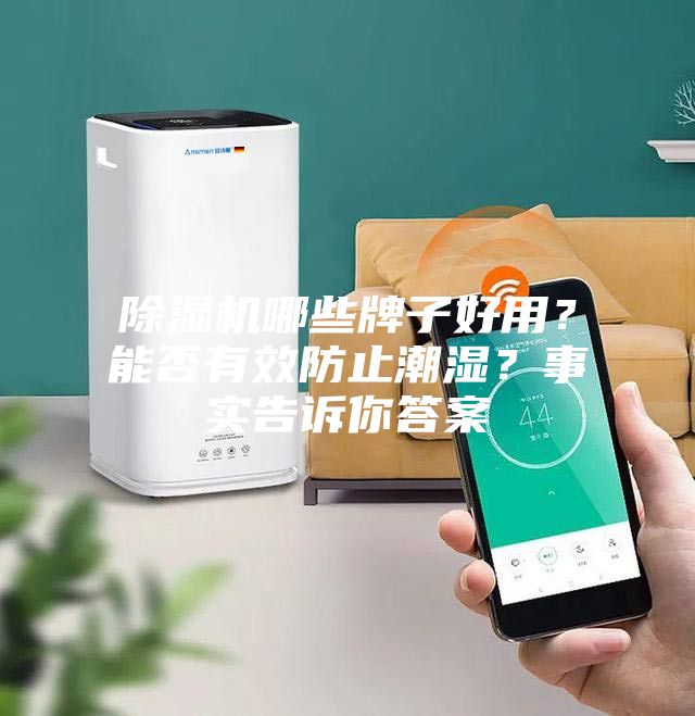 除濕機哪些牌子好用？能否有效防止潮濕？事實告訴你答案