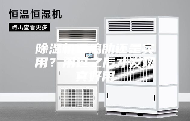 除濕機是雞肋還是實用？用過之后才發現真好用