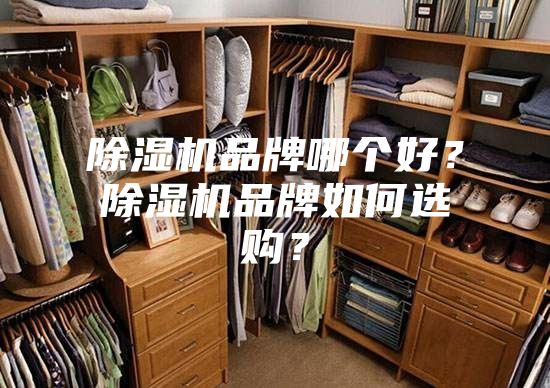 除濕機品牌哪個好？除濕機品牌如何選購？