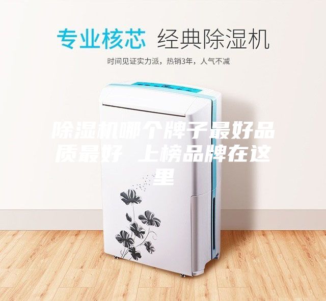 除濕機哪個牌子最好品質最好 上榜品牌在這里