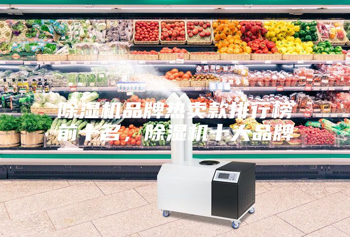 除濕機品牌熱賣款排行榜前十名，除濕機十大品牌