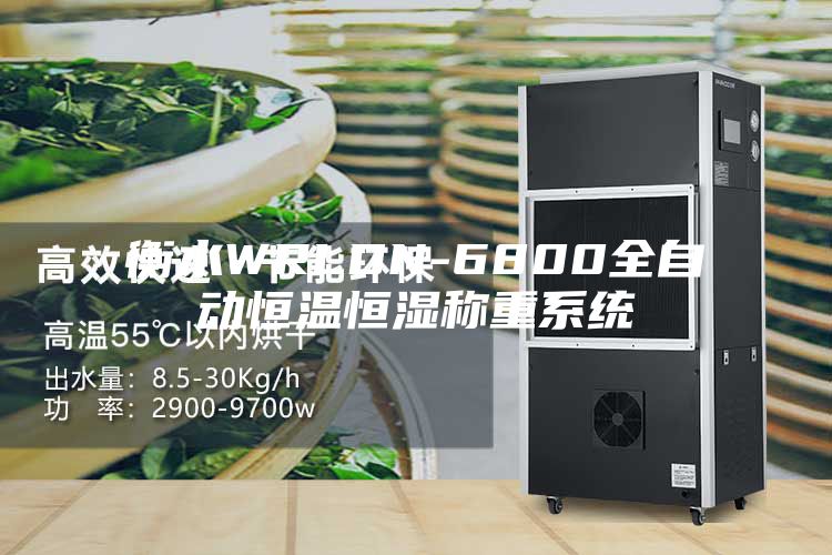 衡水WRLDN-6800全自動恒溫恒濕稱重系統