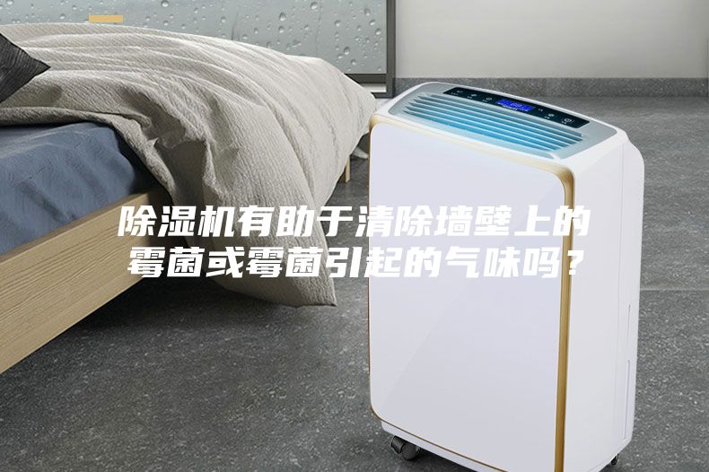 除濕機有助于清除墻壁上的霉菌或霉菌引起的氣味嗎？