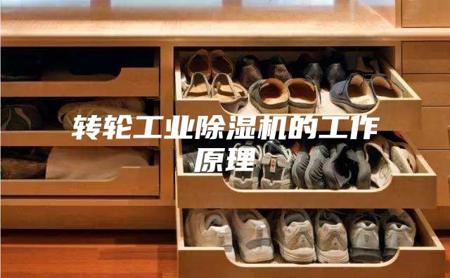 轉輪工業除濕機的工作原理