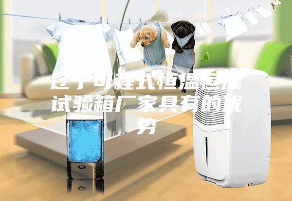 遼寧可程式恒溫恒濕試驗箱廠家具有的優勢