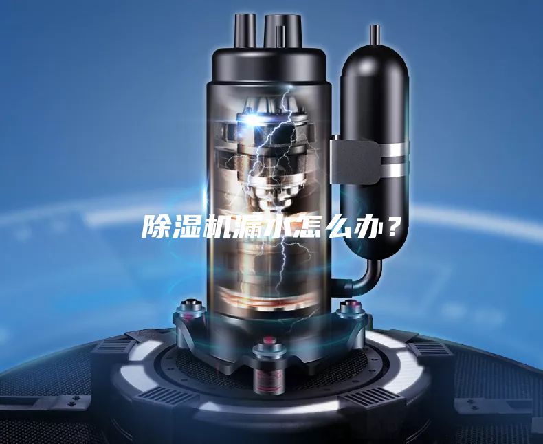 除濕機漏水怎么辦？