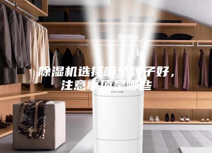 除濕機選擇哪個牌子好，注意事項是哪些