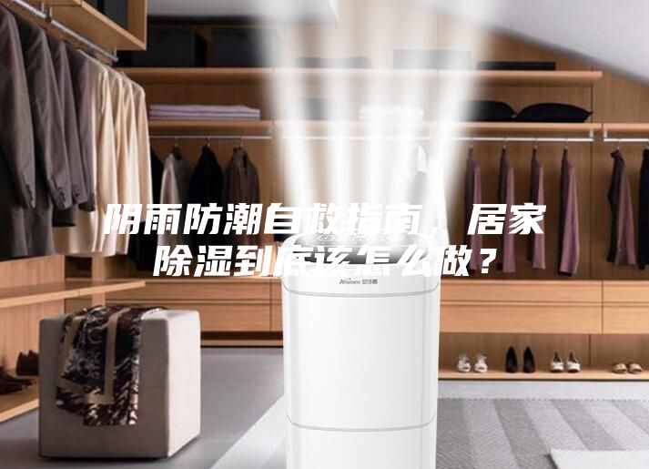 陰雨防潮自救指南，居家除濕到底該怎么做？