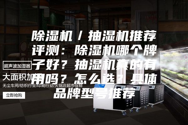 除濕機／抽濕機推薦評測：除濕機哪個牌子好？抽濕機真的有用嗎？怎么選？具體品牌型號推薦