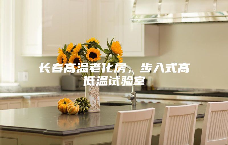 長春高溫老化房，步入式高低溫試驗室