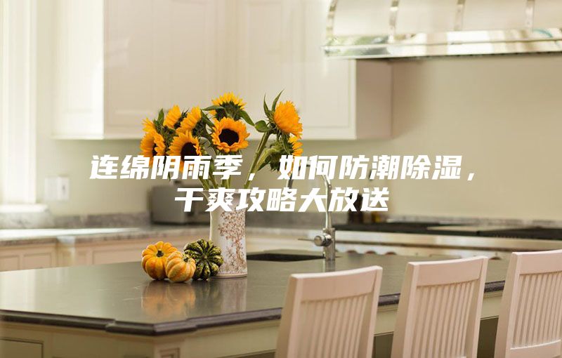 連綿陰雨季，如何防潮除濕，干爽攻略大放送