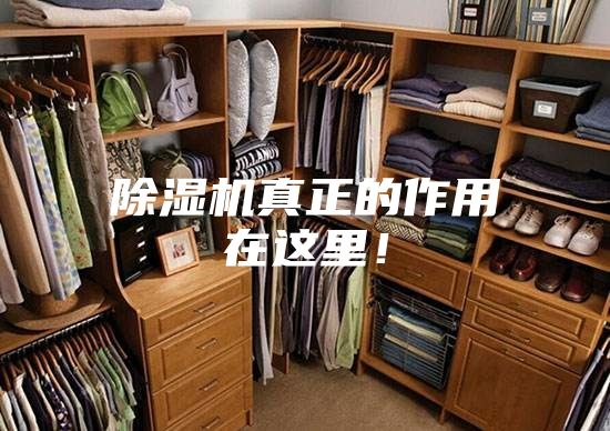 除濕機真正的作用在這里！