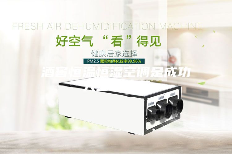 酒窖恒溫恒濕空調是成功人士的最愛