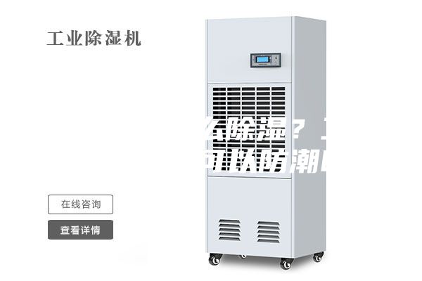 配電房怎么除濕？工業除濕機可以防潮嗎