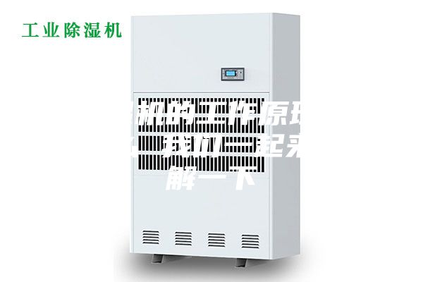 除濕機的工作原理是什么 我們一起來了解一下