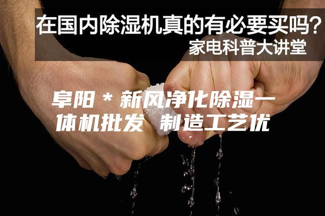 阜陽＊新風凈化除濕一體機批發 制造工藝優